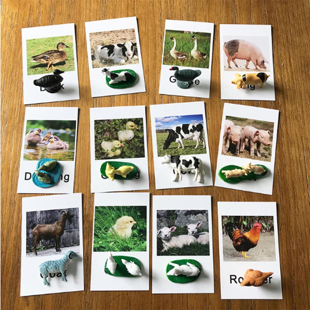 Animal Model Card Set Montesso - Kids Toys In Store review and price