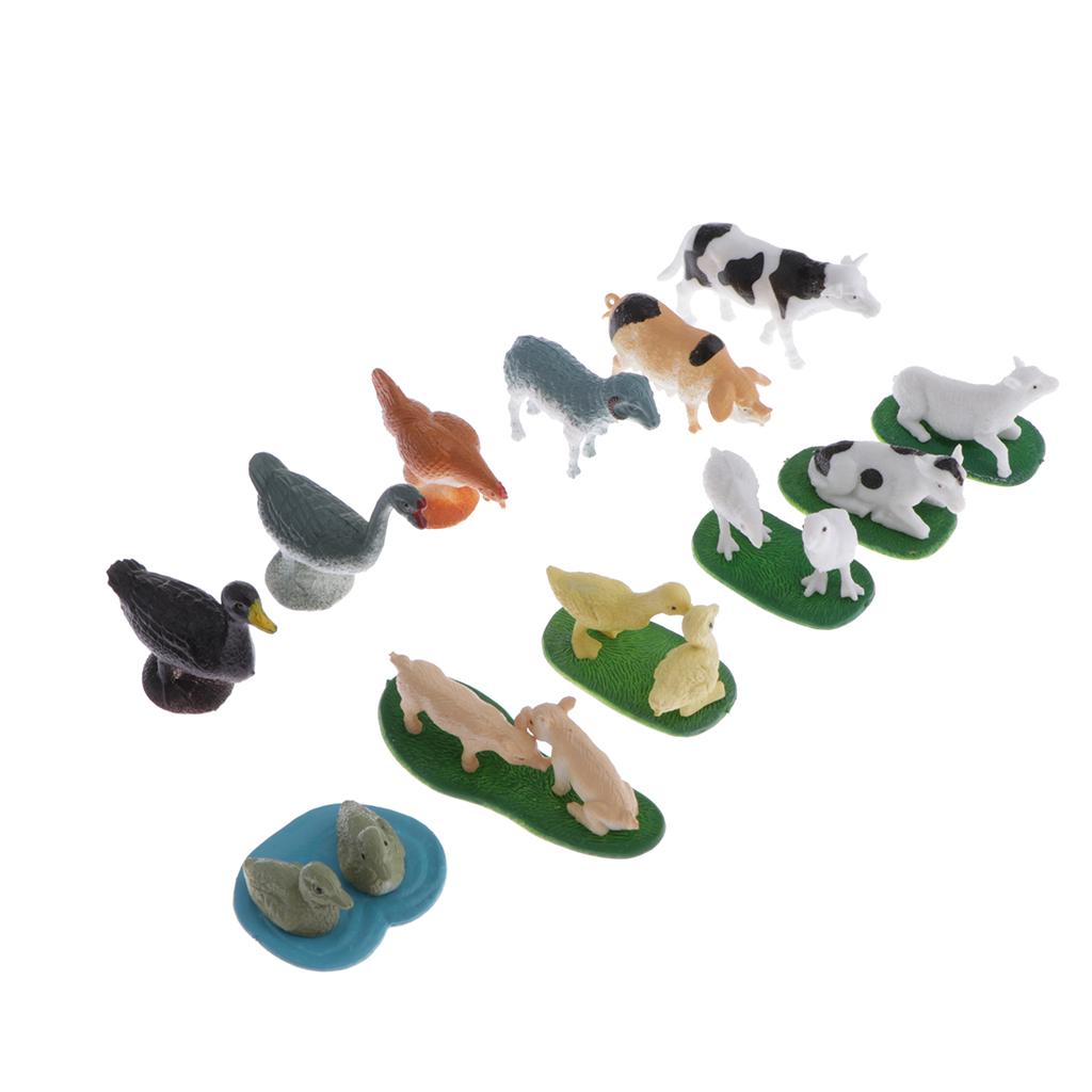 Animal Model Card Set Montesso - Kids Toys In Store review and price