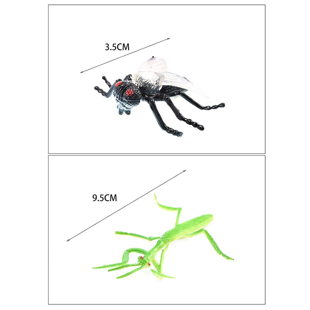 Simulation Animal Model Decora - Kids Toys In Store review and price