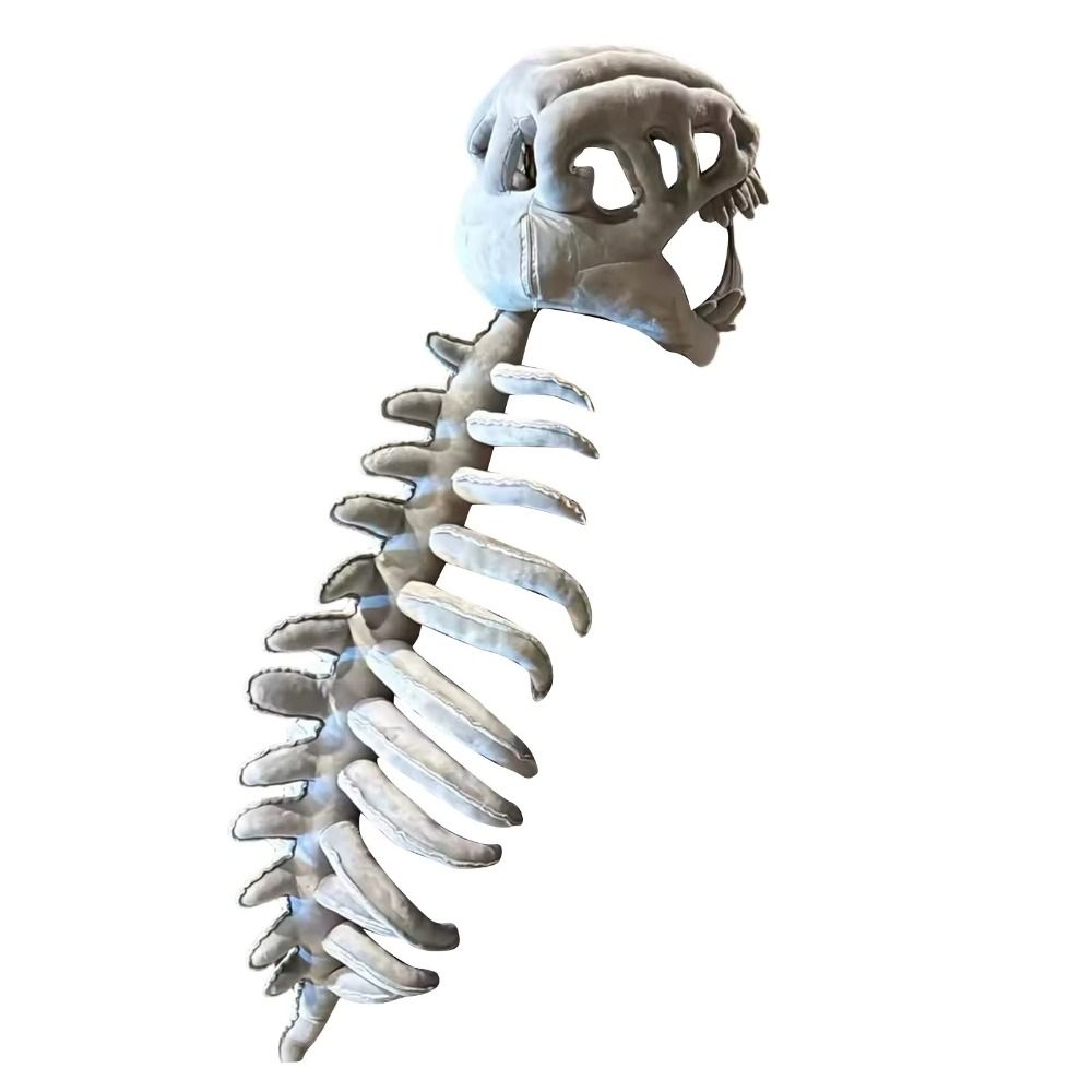 3D Dinosaur Skeleton Toys Funn - Kids Toys Unique review and price